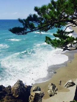 桂浜の海 桂浜の海 海,桂浜,波の写真素材