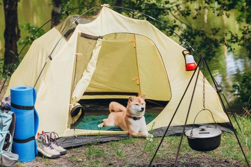 テントの前で犬と休むの写真