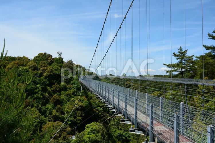 静岡県立森林公園空の散歩道 吊り橋,つり橋,橋の写真素材