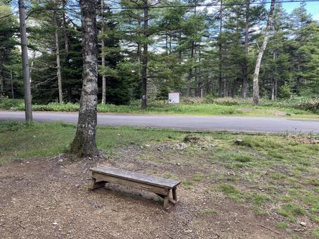 入笠山の首切清水周辺の風景 入笠山の首切清水周辺の風景の写真