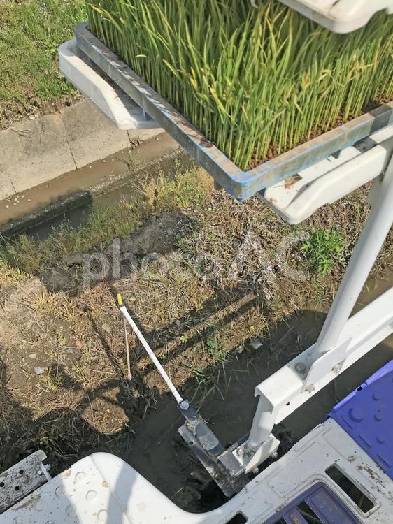 稲作　５０　田植え機のガイド マーカー,印,しるしの写真素材