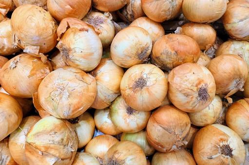 玉ねぎの特売イメージ 玉ねぎの特売イメージの写真
