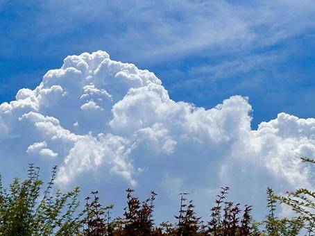 夏の空 夏の空 夏空,7月,青空の写真素材