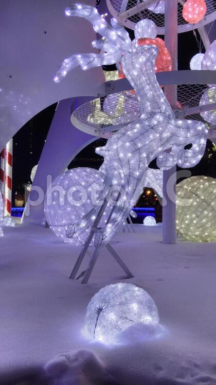 さっぽろホワイトイルミネーション イルミネーション,ホワイトイルミネーション,ライトアップの写真素材