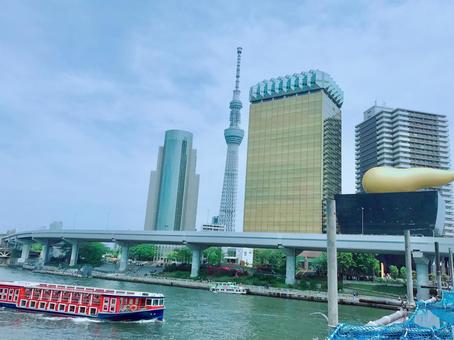 スカイツリーとビル群の景色 スカイツリーとビル群の景色 スカイツリー,東京,浅草の写真素材