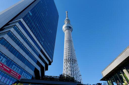 東京ソラマチからの東京スカイツリー 東京スカイツリー,電車,町並みの写真素材
