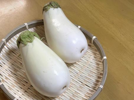 白ナス 白ナスの写真
