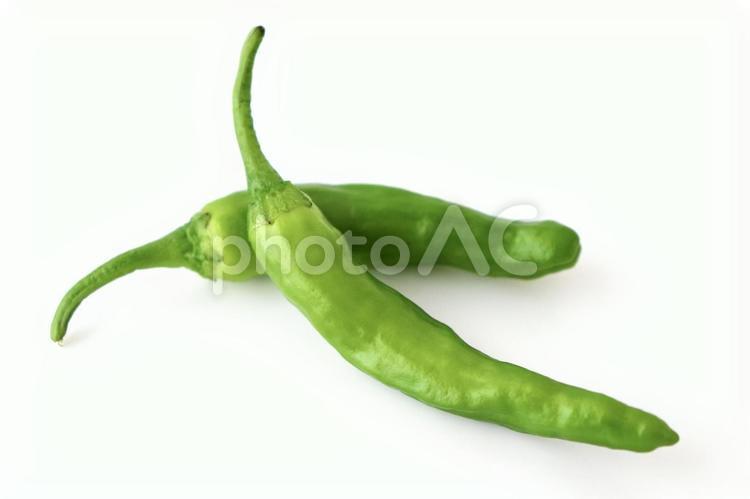 ししとう ししとう,野菜,食材の写真素材