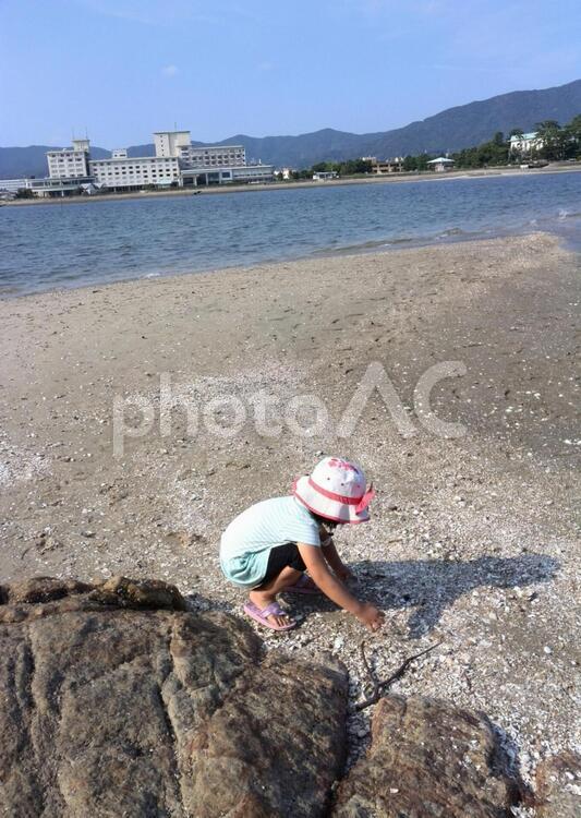 海辺で貝をさがす女の子 水域,海岸,浜の写真素材