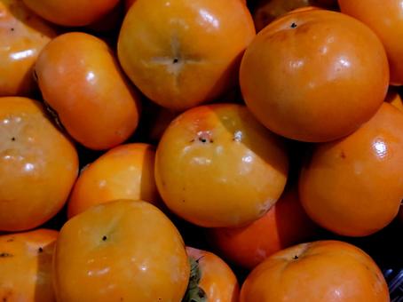 柿 柿,果物,デザートの写真素材