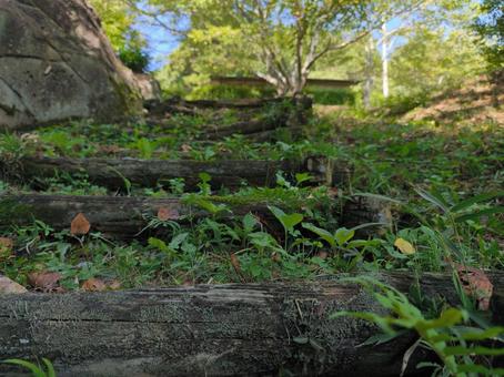 Photo, stage, a wooden structure, natural, 