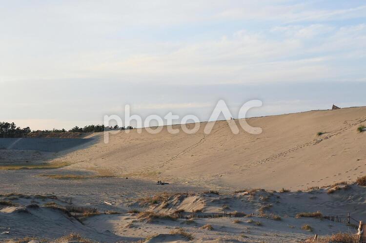 中田島砂丘の防潮堤（工事中） 中田島砂丘,砂丘,防潮堤の写真素材
