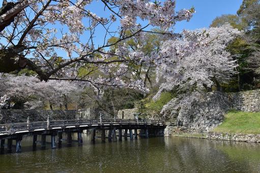 彦根城 彦根城の写真