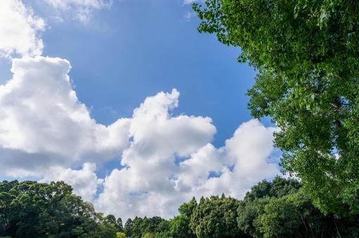 Summer blue sky and white clouds, JPG