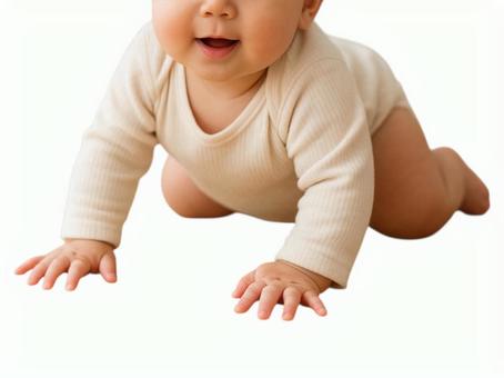 赤ちゃんはいはい 赤ちゃんはいはいの写真