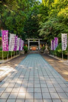 【宮城】宮城県護国神社 2025 【宮城】宮城県護国神社 2025 宮城,仙台,miyagiの写真素材