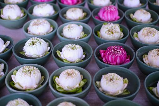 お供えの蓮の花 お供えの蓮の花 蓮,蓮華,お寺の写真素材