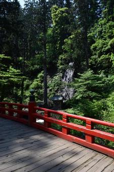 羽黒山五重塔付近の景色 羽黒山五重塔付近の景色 羽黒山五重塔付近の景色,羽黒山五重塔,羽黒山五重塔付近の写真素材