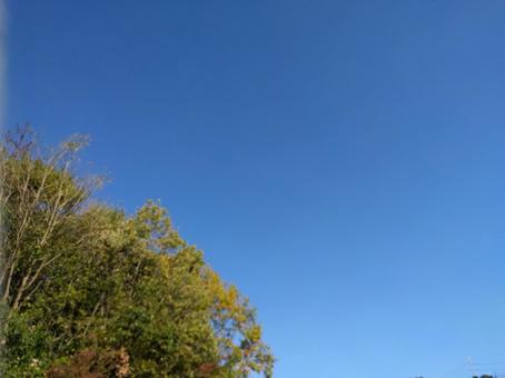 青空 青空の写真