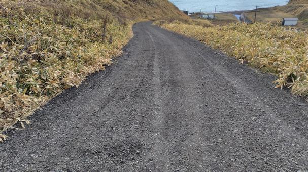 海岸線沿いの道 海岸,海,波の写真素材
