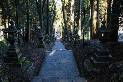 熊本県高森町 上色見熊野座神社 参道 熊本県高森町 上色見熊野座神社 参道の写真