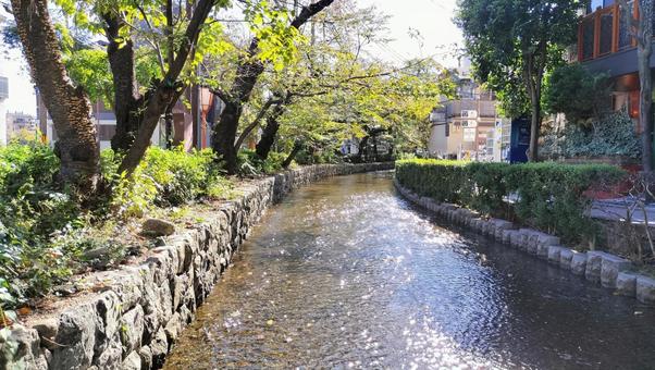 京都 川 京都,川,高瀬川の写真素材