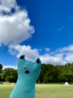 青空と自然とひげねこの写真