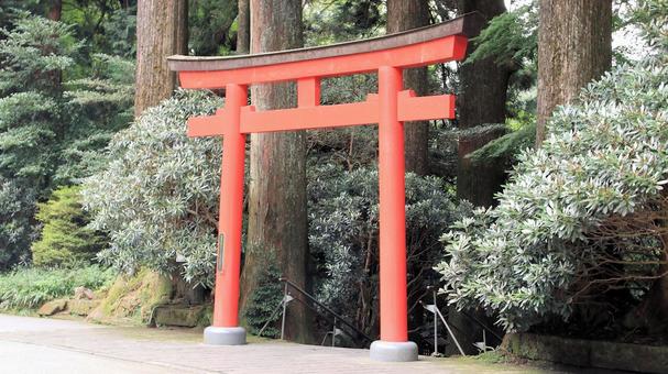 夏の日の箱根神社第五鳥居 夏の日の箱根神社第五鳥居 箱根神社,夏,第五鳥居の写真素材