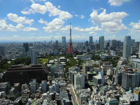 東京タワー 東京タワーの写真