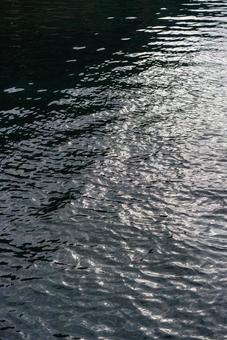 光きらめく水面の波紋 水,水面,波紋の写真素材