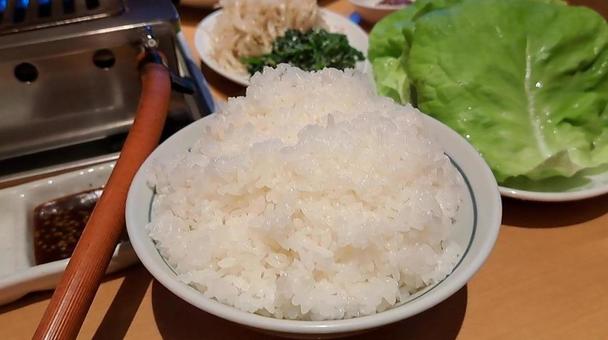 ごはん ごはんの写真