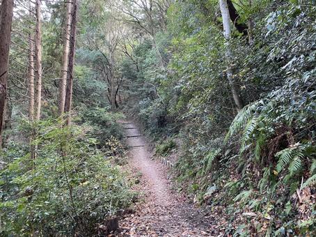 登山 登山 山,登山,低山の写真素材