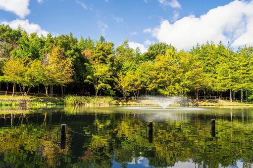 公園の風景⑹ 公園の風景⑹ 公園,木々,緑の写真素材