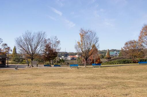 半田運動公園 半田ぴよログスポーツパーク 半田運動公園,半田ぴよログスポーツパーク,公園の写真素材