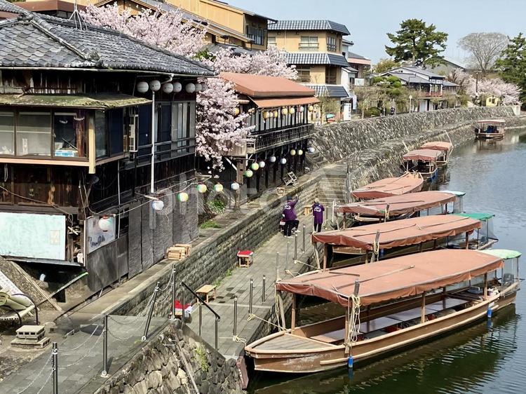 宇治川の観覧船〜春〜 宇治川,宇治,京都の写真素材