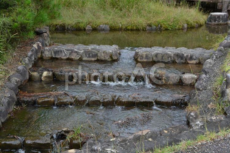 水の有る階段 滝,自然,野外の写真素材