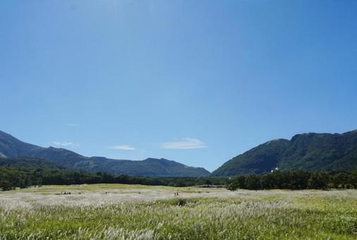 A pampas grass field surrounded by mountains, rinse, grassland, field, JPG