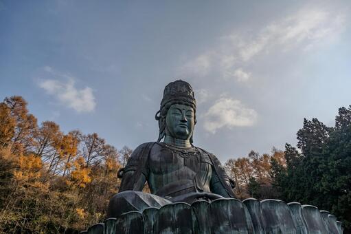 秋に訪れた昭和大仏 昭和大仏,仏像,紅葉の写真素材