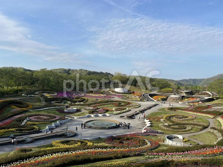 国営みちのく杜の湖畔公園 国営みちのく杜の湖畔公園,自然,風景の写真素材