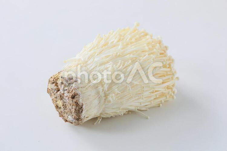 【切抜PSD】えのき茸 えのき,エノキ,キノコの写真素材