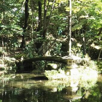 Healing, holz, wasser, natürlich, JPG