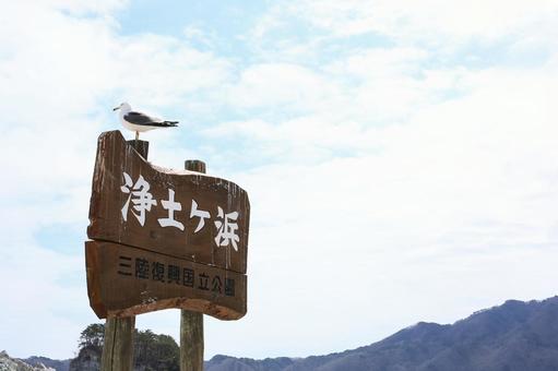 浄土ヶ浜03 浄土ヶ浜03 看板,かもめ,晴れの写真素材