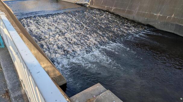 川の流れ 川,河川,川の流れの写真素材