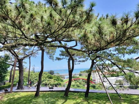 松園別館からの景色 松園別館からの景色 松園別館,花蓮,台湾の写真素材