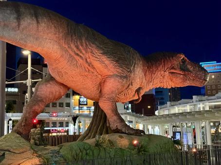 福井駅恐竜のモニュメント 北陸の地方都市 福井駅恐竜のモニュメント 北陸の地方都市 福井駅,夜,ライトアップの写真素材