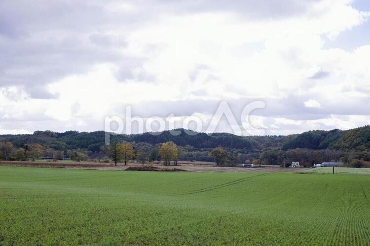 北海道の空と風景 北海道,広い,空の写真素材