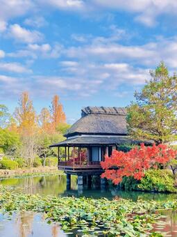 古民家と紅葉 風景,古民家,自然の写真素材