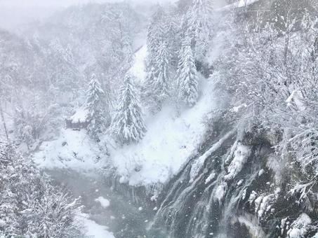 冬の白ひげの滝 冬の白ひげの滝の写真