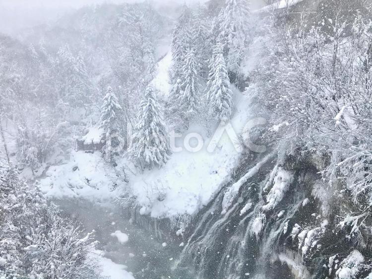 冬の白ひげの滝 雪,雪景色,美瑛の写真素材