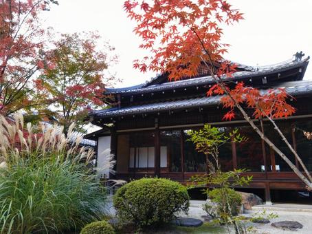 京都の紅葉（南禅寺天授庵） 紅葉,京都,南禅寺の写真素材